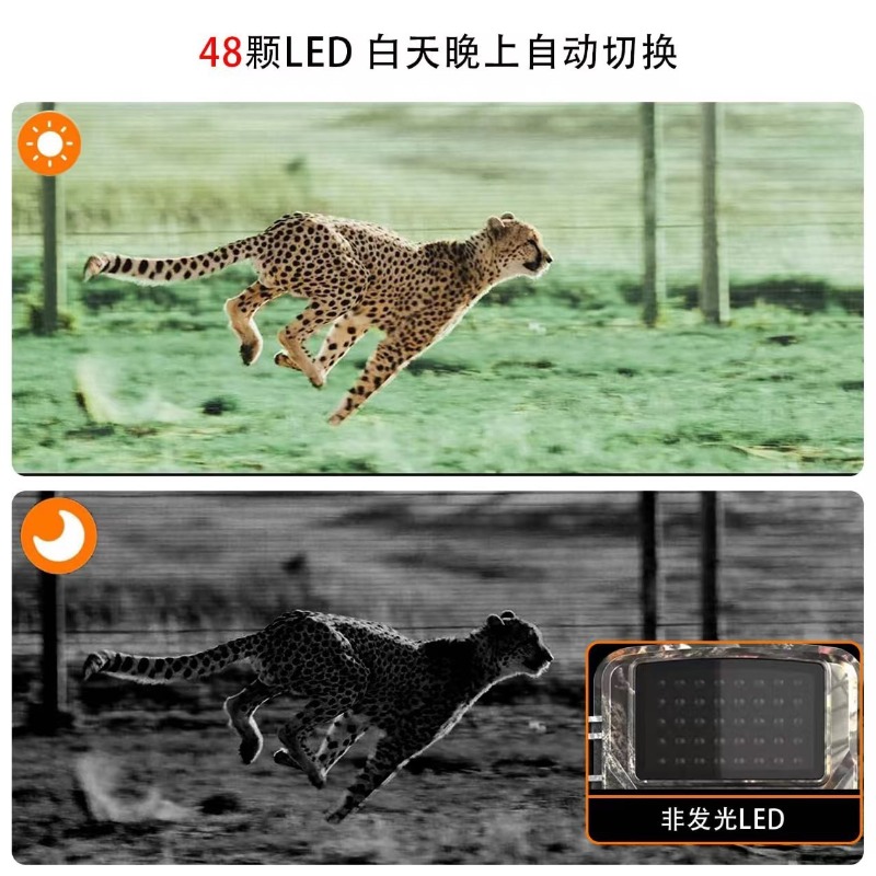 大特価セール DL001 ハンティングカメラ 動物追跡 ハン - Outdoor Hunting Videos のレビューと価格