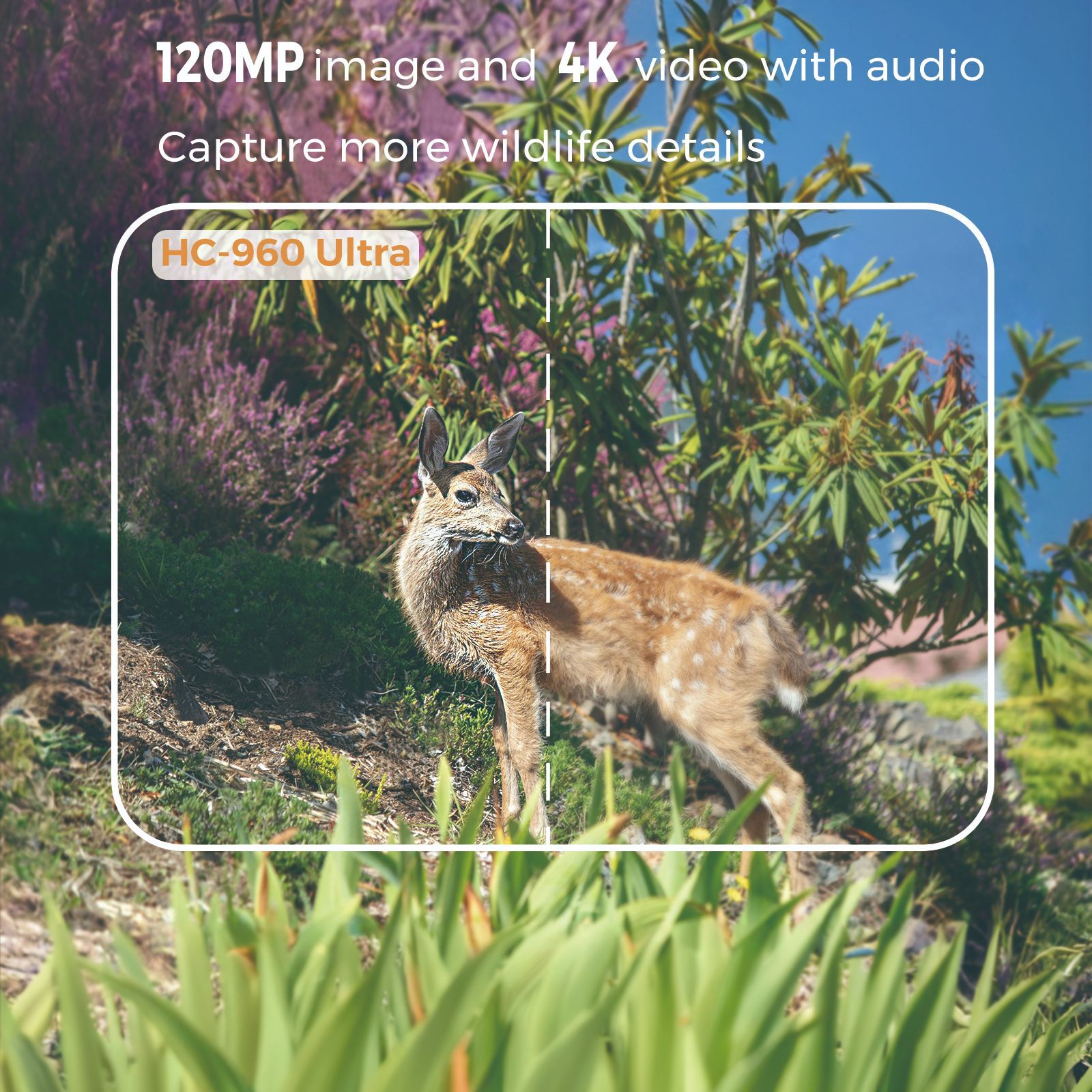 屋外4Kビデオ120MP写真4Gアプリ対応携帯電話野生動物赤 - Outdoor Hunting Videos のレビューと価格