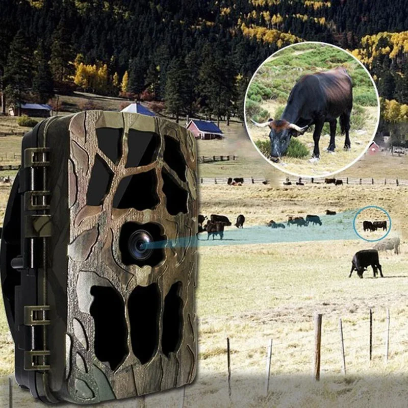 防水赤外線暗視カメラ,1080p,4K (h982),暗視機 - Outdoor Hunting Videos のレビューと価格